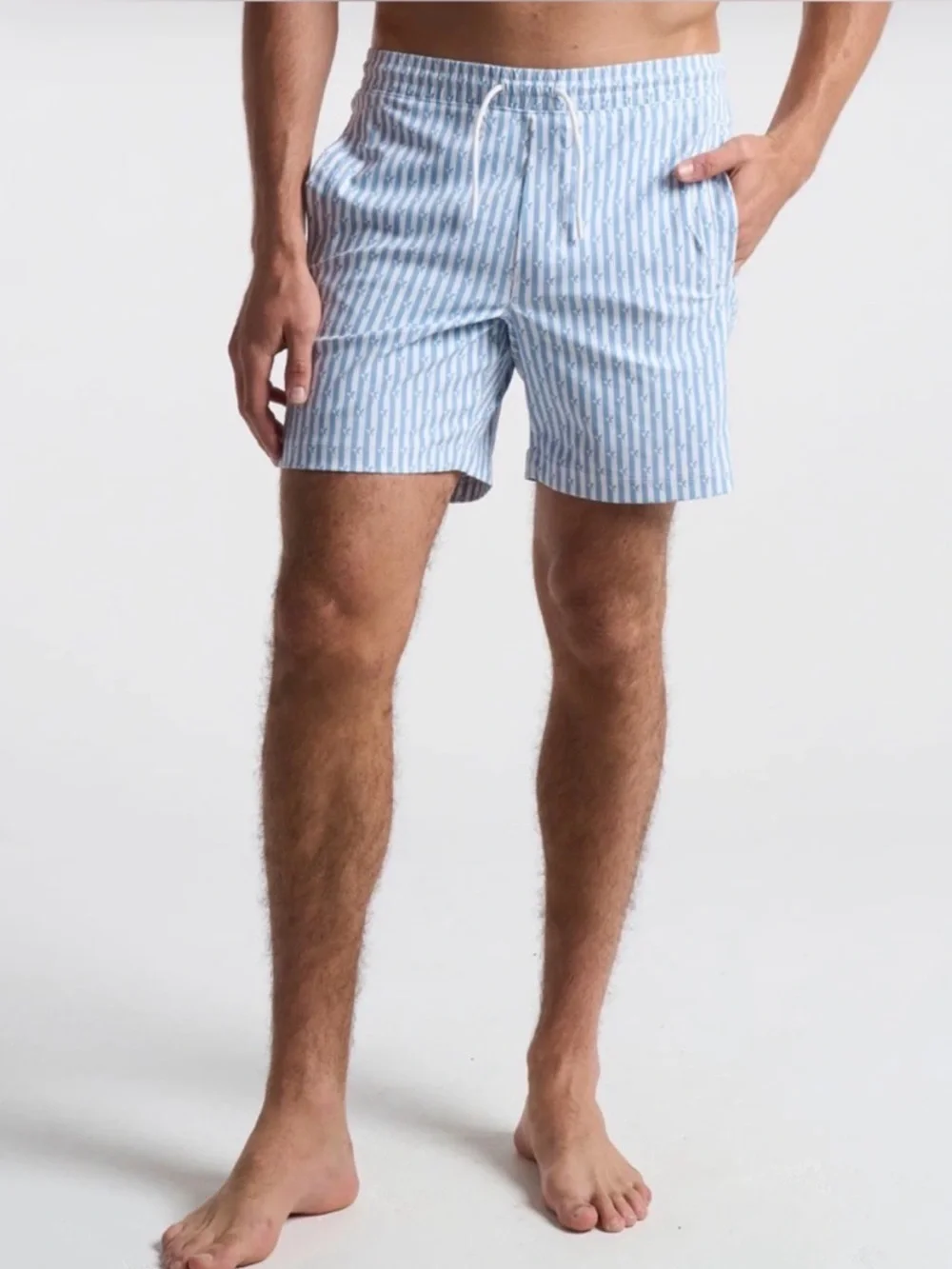 Birddogs 3 in 1 Swim Shorts Blue White Stripes Bird Print Short Summer Outdoor
